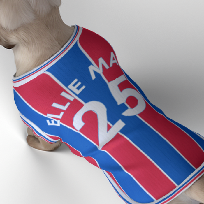 Crystal Palace FC 25/26 Home Kit Inspired Personalized Tank