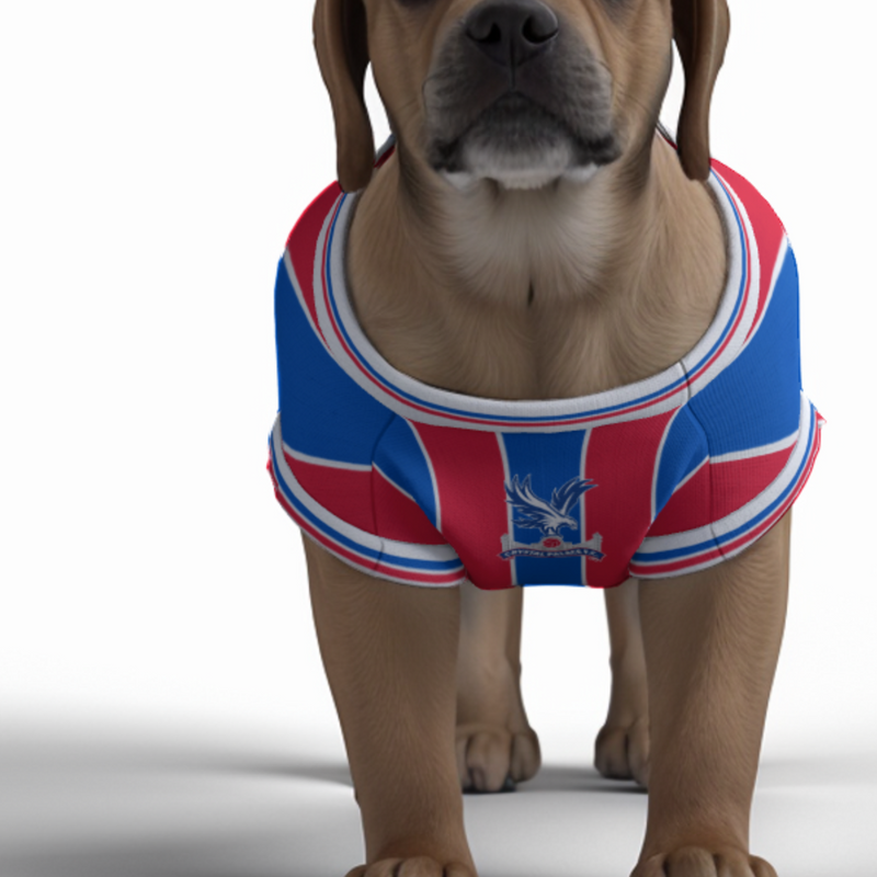 Crystal Palace FC 25/26 Home Kit Inspired Personalized Tank