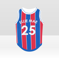 Crystal Palace FC 25/26 Home Kit Inspired Personalized Tank