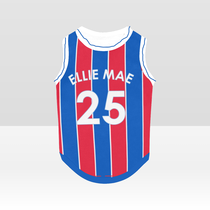 Crystal Palace FC 25/26 Home Kit Inspired Personalized Tank