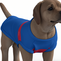 Crystal Palace FC 25/26 Home Inspired Pet Graphic Tee Shirt (Sizes XS-Small)