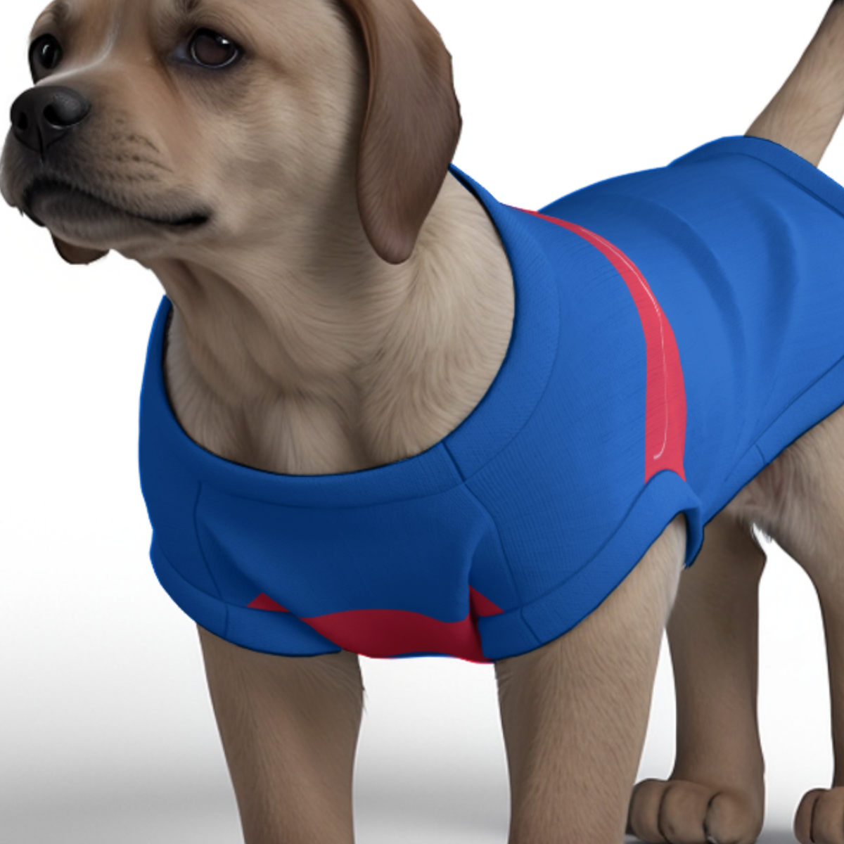 Crystal Palace FC 25/26 Home Inspired Pet Graphic Tee Shirt (Sizes XS-Small)