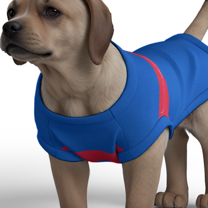 Crystal Palace FC 25/26 Home Inspired Pet Graphic Tee Shirt (Sizes XS-Small)
