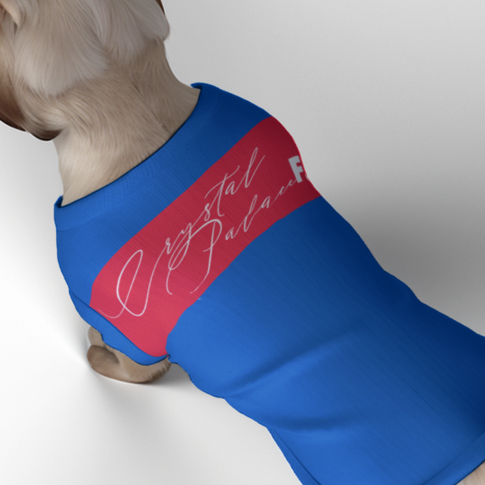 Crystal Palace FC 25/26 Home Inspired Graphic Pet Tee Shirt (Size M-2x)