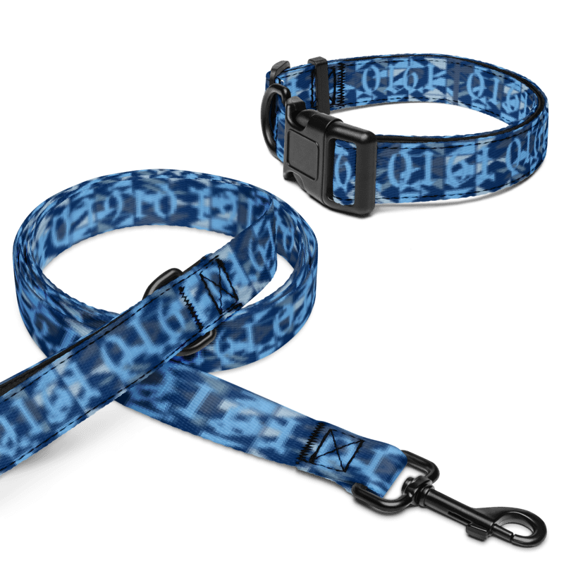 Manchester City FC 24/25 Kit Inspired Pet collar and leash Set