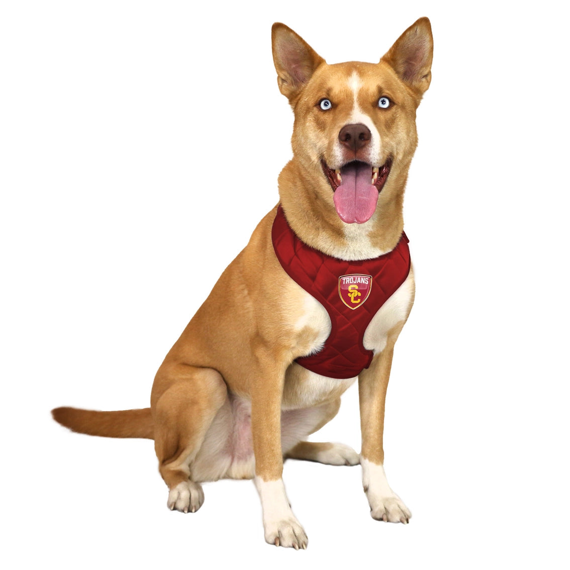 USC Trojans Velvet Harness