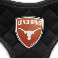 TX Longhorns Velvet Harness