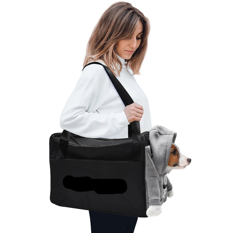 Las Vegas Raiders Furry Fan Pet Carrier