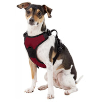 AZ Diamondbacks Front Clip Harness