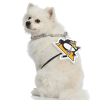 Pittsburgh Penguins Pet Fan Chain