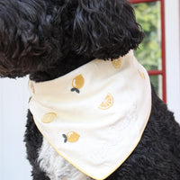 Main Squeeze Pet Bandana