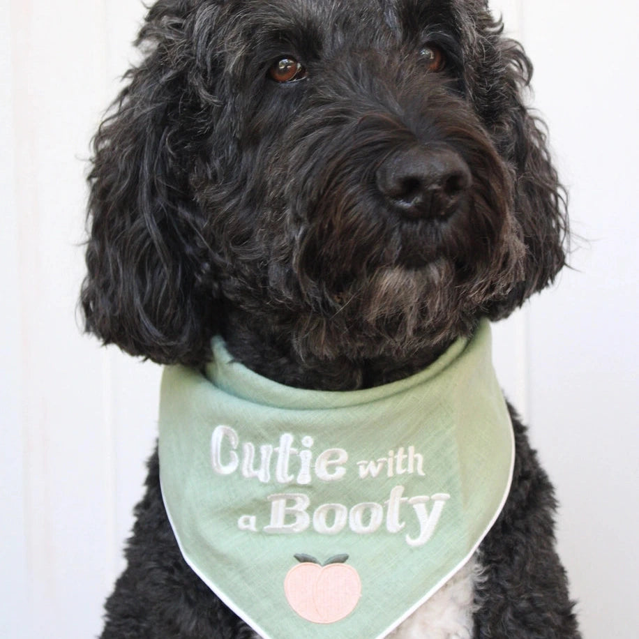 Cutie with a Booty Pet Bandana