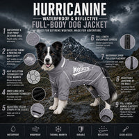 Dog Helios ® 'Hurricanine' Waterproof and Reflective Full Body Dog Coat