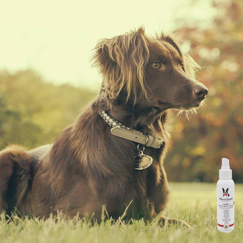 10-In-1 Leave-In Conditioner and Detangling Spray