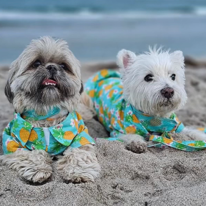 Pineapple Luau Hawaiian Camp Shirt