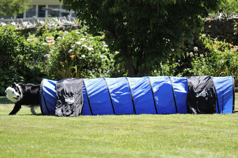 Better Sporting Dogs 10 ft Dog Agility Tunnel with Sandbags