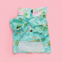 Adventure Awaits BBQ Shirt