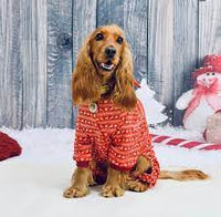 Reindeer Fairisle Pet Pajamas - CLOSEOUT