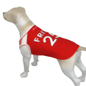 Arsenal FC 25/26 Home Kit Inspired Personalized Tank