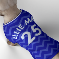 Everton FC 25/26 Home Kit Inspired Personalized Tank