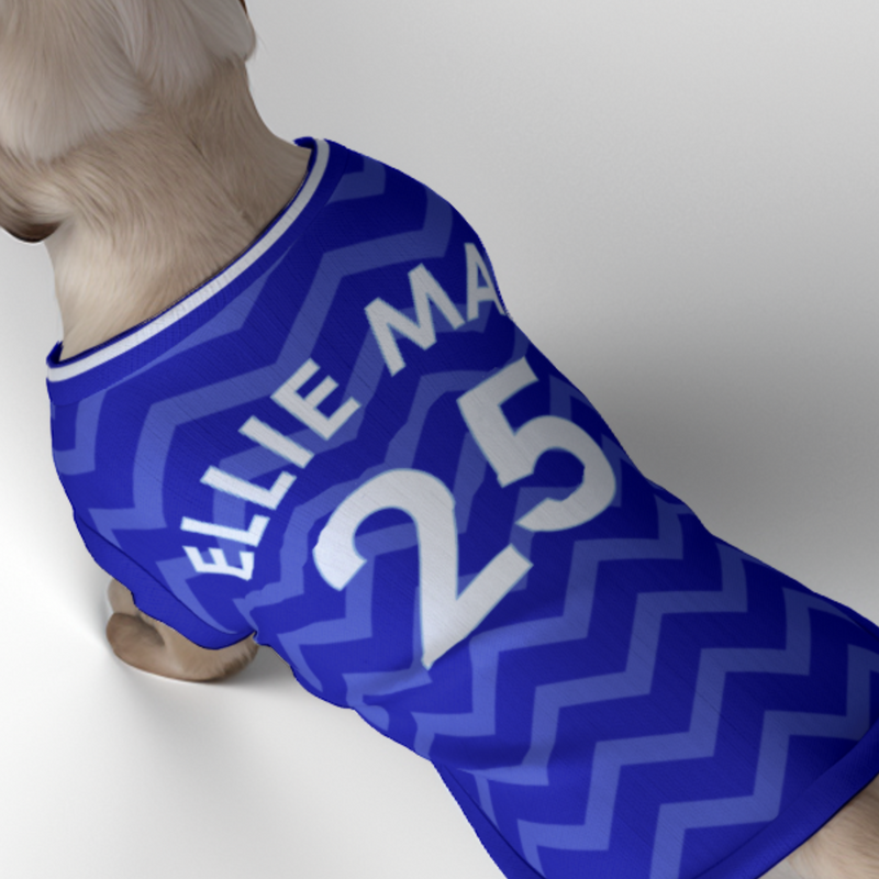 Everton FC 25/26 Home Kit Inspired Personalized Tank