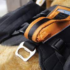 Kurgo Baxter Pet Backpack - Black/Orange