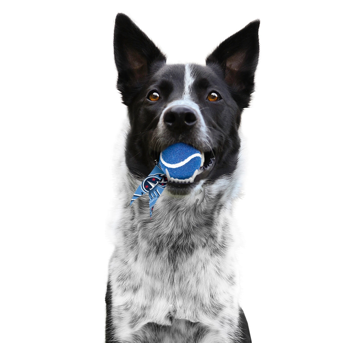 Tennessee Titans Pet Ball Launcher Toy