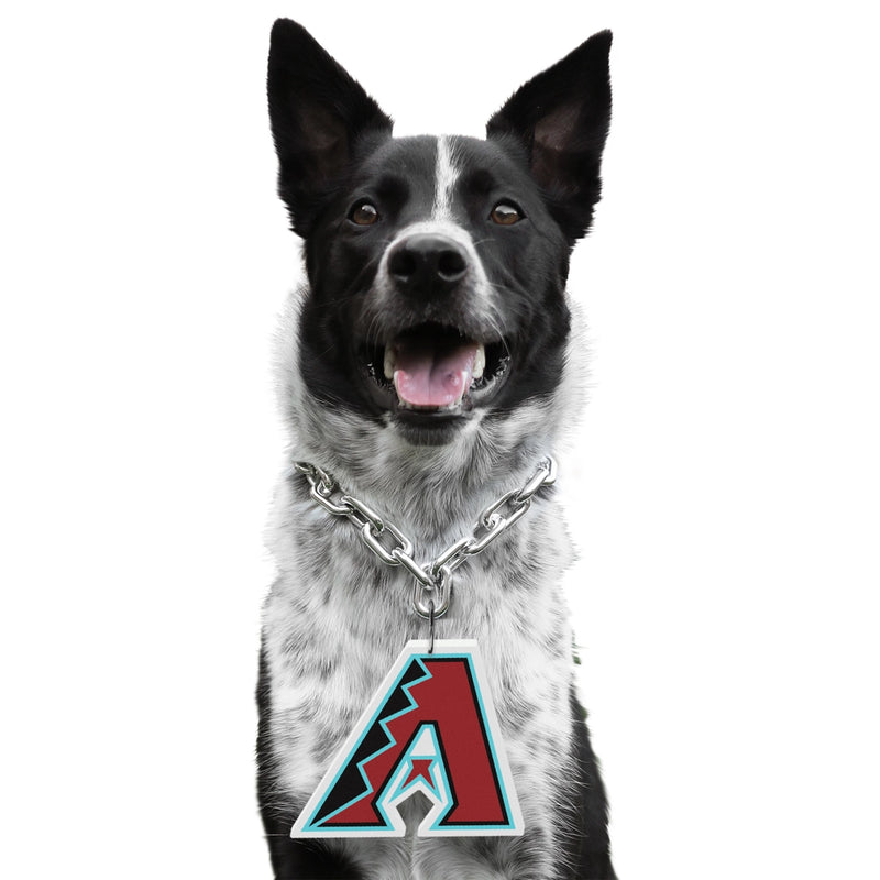 AZ Diamondbacks Pet Fan Chain