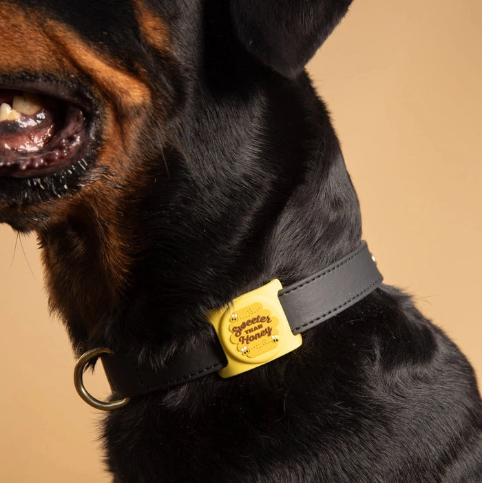 Sweeter than Honey Airtag Holder