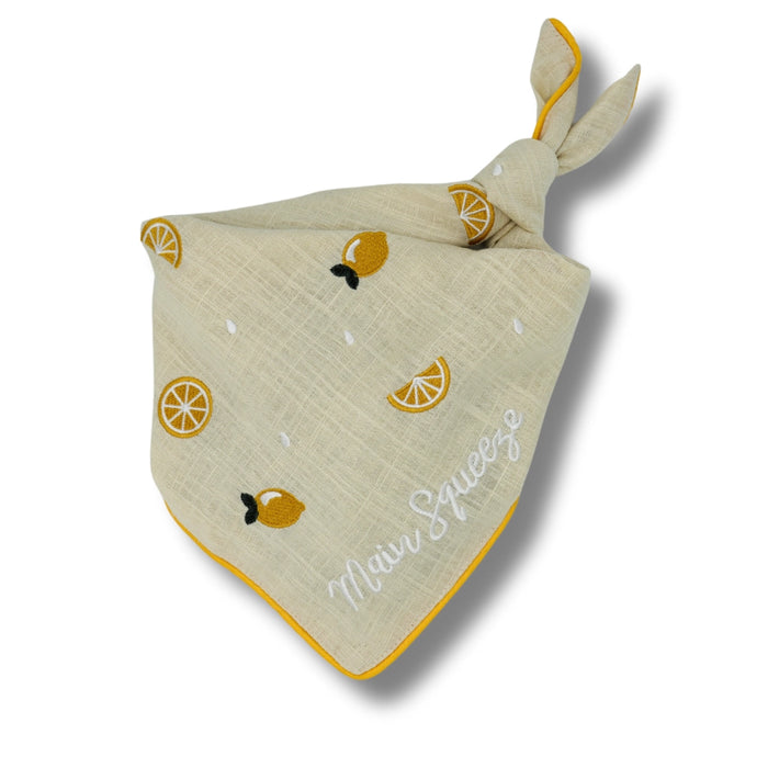 Main Squeeze Pet Bandana