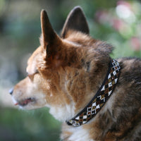 Earth Argyle Beaded Dog Collar