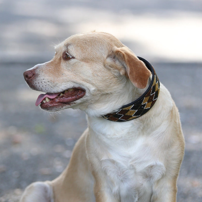 Earth Argyle Beaded Dog Collar