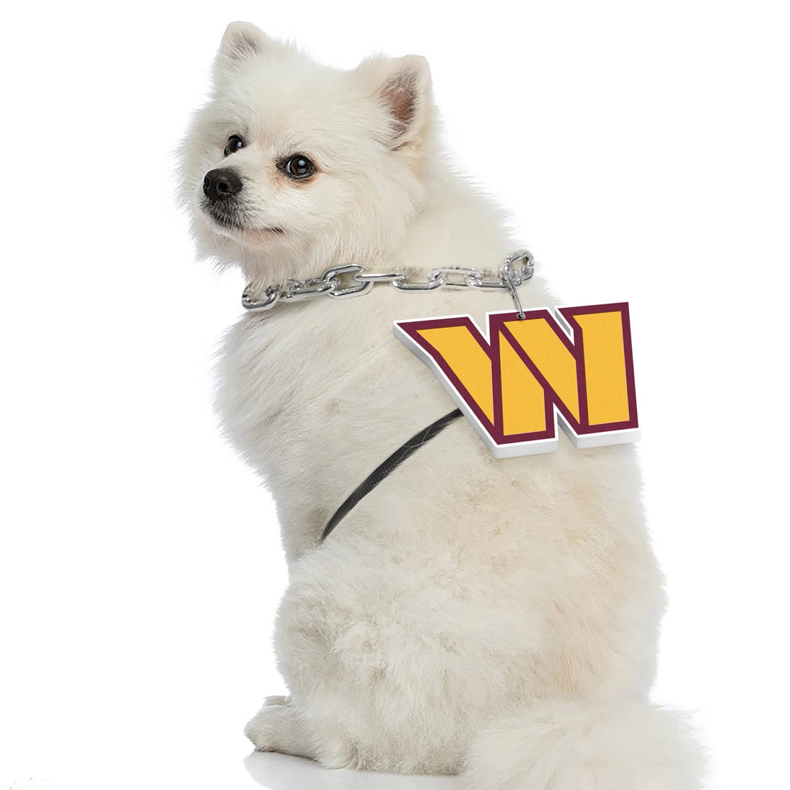 Washington Commanders Pet Fan Chain