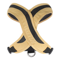 Escape Free Comfort X One