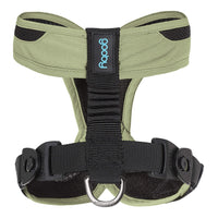 Escape Free Comfort X One