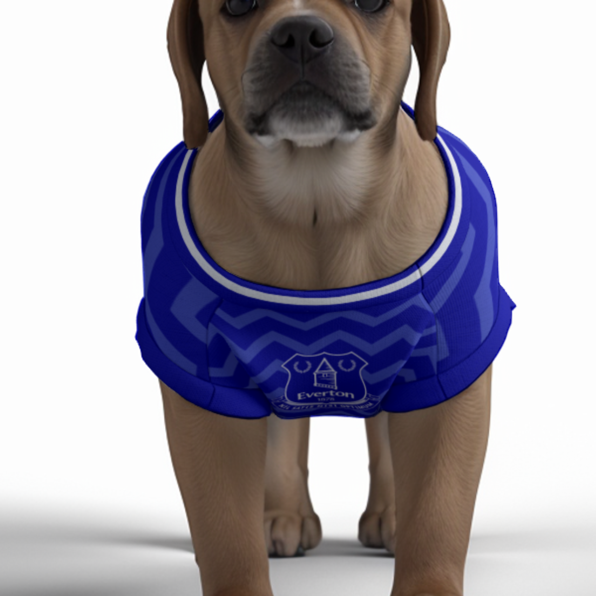 Everton FC 25/26 Home Kit Inspired Personalized Tank