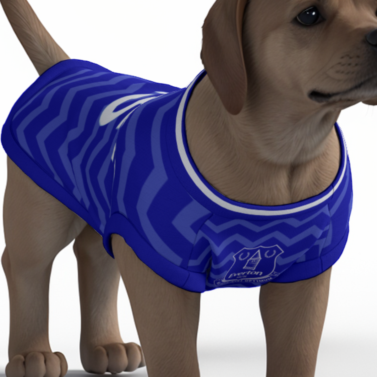 Everton FC 25/26 Home Kit Inspired Personalized Tank
