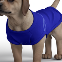 Everton FC 25/26 Home Inspired Graphic Pet Tee Shirt (Size M-2x)