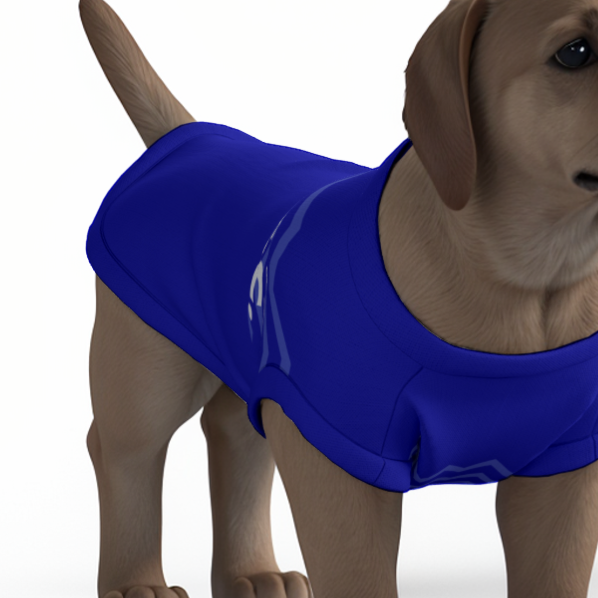 Everton FC 25/26 Home Inspired Graphic Pet Tee Shirt (Size M-2x)
