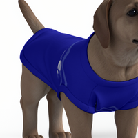 Everton FC 25/26 Home Inspired Graphic Pet Tee Shirt (Size M-2x)