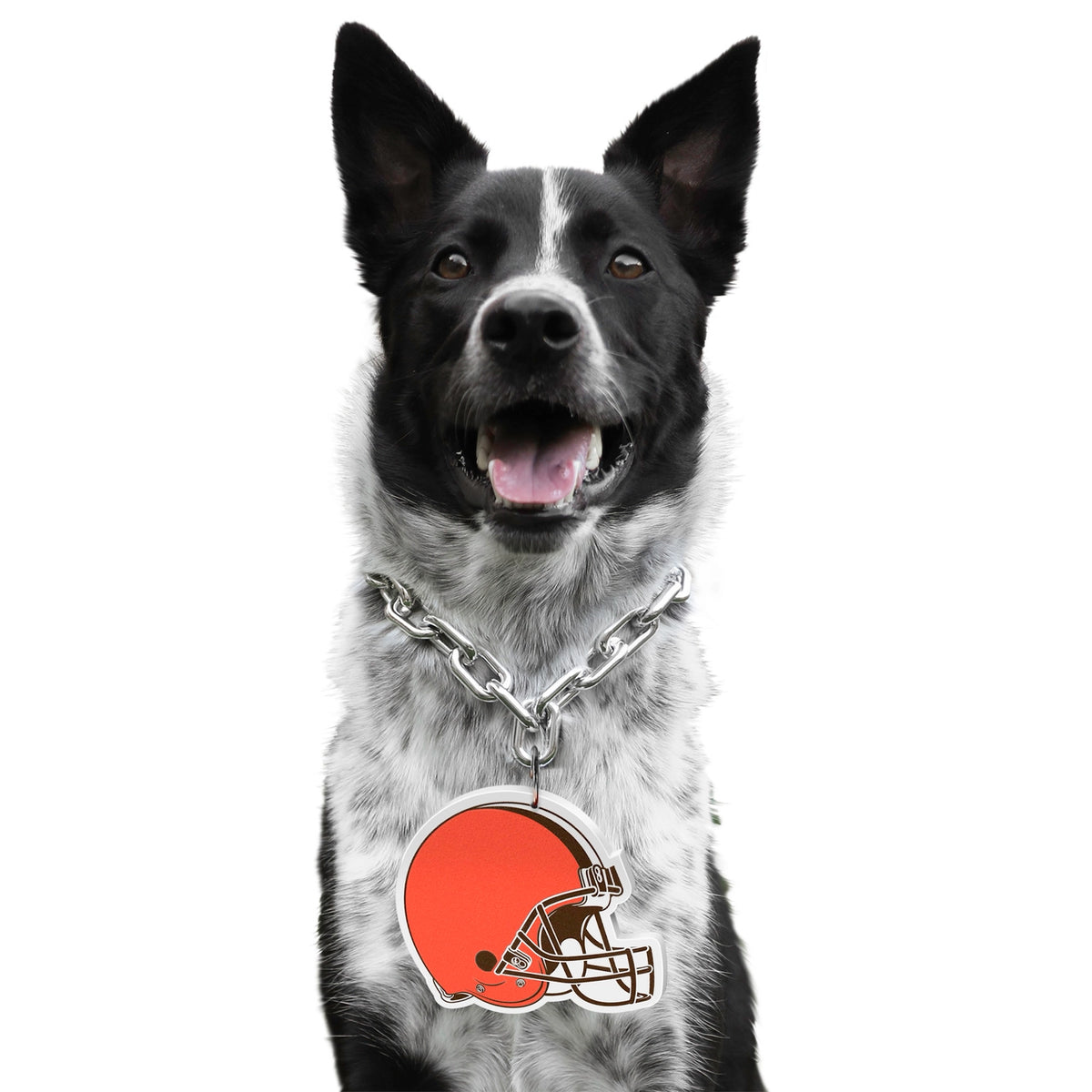 Cleveland Browns Pet Fan Chain