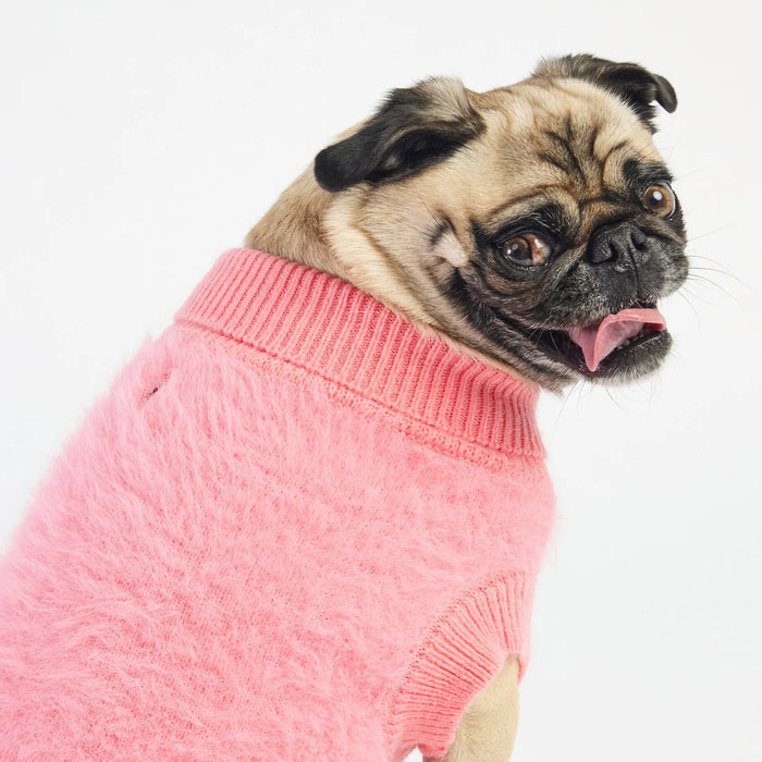Fifi Pet Sweater