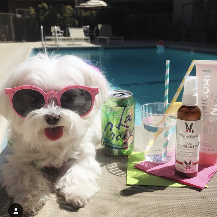 Dog Sunscreen With Aloe Vera Moisturizer
