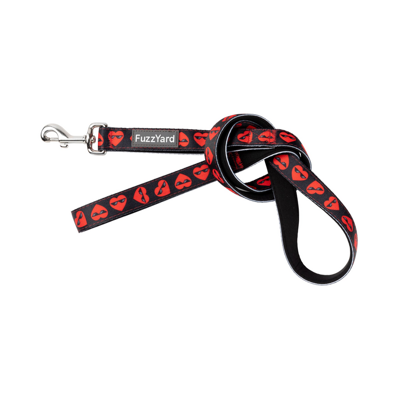 Heartbreaker Pet Leash