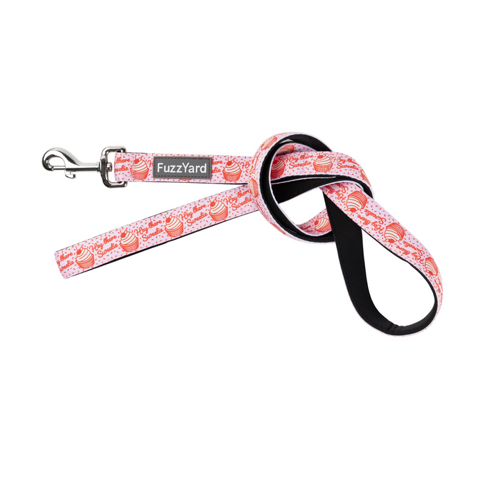 Hey There Sweetie Pet Leash