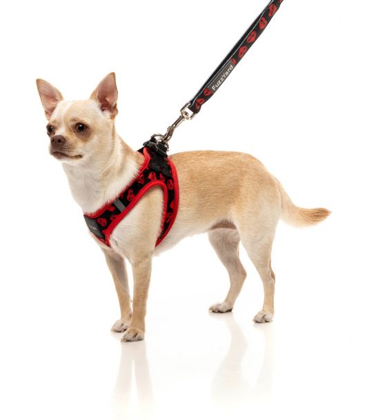 Heartbreaker Pet Leash