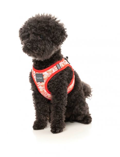 Hey There Sweetie Step-In Pet Harness