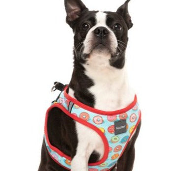 You Drive Me Glazy Step-In Pet Harness