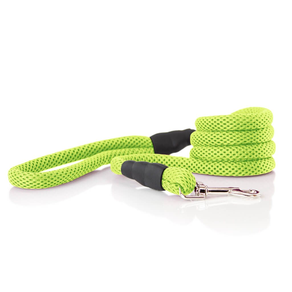 Soft Mesh Leash