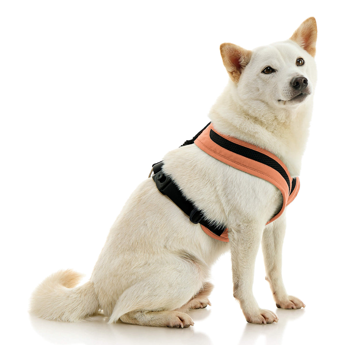 Escape Free Comfort X One